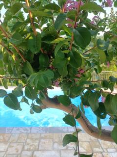 B&B VILLA GINEVRA - 4