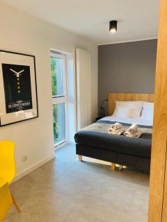 Apartament Nowy Verdon Ruda Śląska - Ruda Śląska - 8
