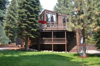 A Slice of Silver Fir - Truckee - 0