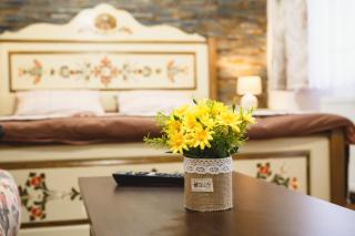 The Transylvanian Apartment - near Bridge ofLies - Sibiu - 8