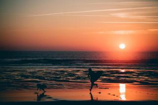 Le repère du pin sec - Glamping & Surfcamp - Naujac-sur-Mer - 3