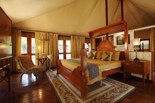 Tuli Tiger Resort - Dhanwār - 8