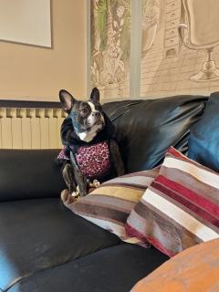 La Chicca - Annicco - 1