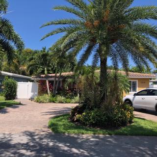Private bedroom & den suite with shared pool & tropical garden - Fort Lauderdale - 8