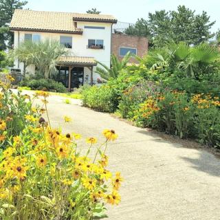 Bandi House - 5