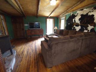 Paradise Mountain Getaway! - Barnardsville - 3