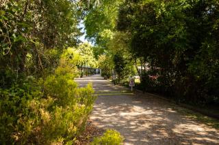 Adina Lodge Holiday Apartments - 4