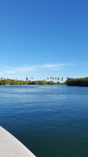 Quintal da Espera - Praia de Itacimirim - Camaçari - 9