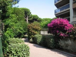 Appartement 2 pièces à Hyères : Port, grande terrasse 62m², proche plages, 4 pers., Wifi, commerces - FR-1-335-184 - Hyères - 3