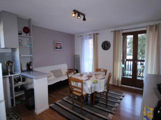 Luchon T3 balcon sud, parking, petits animaux admis - FR-1-313-220 - Luchon - 0