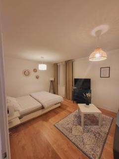 Appartement T1 bis 35m2 ANNECY proche centre ville REFAIT EN DECEMBRE 2021 - Annecy - 5
