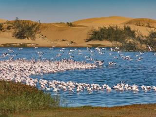 Burning Shore Hotel - 3