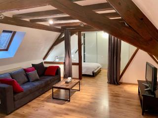 Le Petit Linck - Typique au coeur de Colmar - Colmar - 5