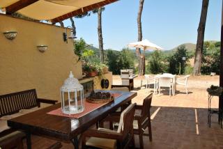 Saha tourist accommodation among olive trees and sea view - Sperlonga - 8