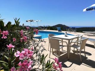 Saha tourist accommodation among olive trees and sea view - Sperlonga - 7