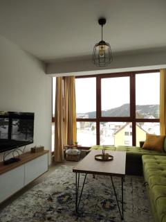 Apartman Green - Šišava - 7