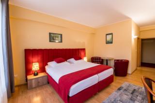 Hotel Perla - Timişoara - 9