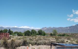 Blanco - Mendoza - 6