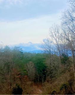 Sweet Seclusion, Hot Tub, Air Hockey, WIFI, 1089 FREE tickets each paid day, Dollywood and More - Sevierville - 2