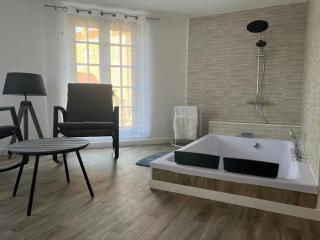 Magnifique Loft 35m2 Jacuzzi RVB NIGHT 1 - Amiens - 1