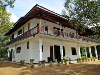 Mount Top Chalet - 1