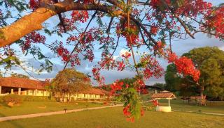 Sertão Veredas Hotel Fazenda - 1