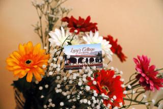 Lucy's cottage - Cinisi - 0