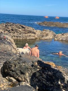 Dollys Den bell tent - 1