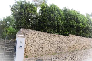 Il grifo - Licata - 7