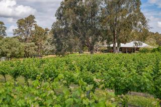 Island Brook Estate Vineyard and Chalets - Yelverton - 5