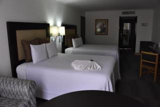 Hotel Royal Reforma - Città del Messico - 1