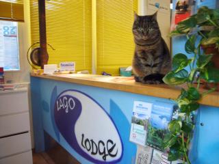 Swiss Hostel Lago Lodge - Biel/Bienne - 4