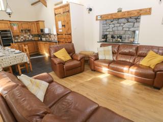The Old Cow Barn - Llansadurnen - 5