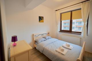 Cozy 3 Bedroom Apartments In Centre of Iasi Palas Mall - Iaşi - 1
