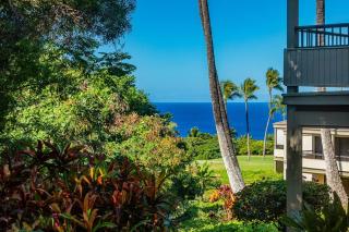 Wailea Ekolu 1603 condo - Wailea - 3