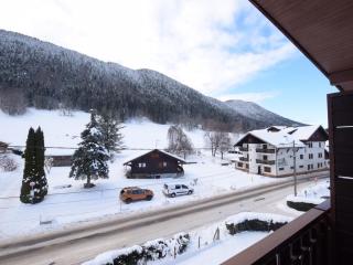 Charmant duplex près des pistes pour 4 personnes avec balcon exposé sud - FR-1-498-88 - Bernex - 5