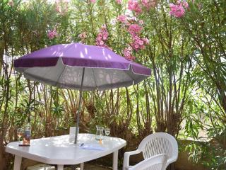 Pavillon 3 pièces avec piscine, terrasse et parking privé - Proche plage et commerces - FR-1-229-812 - Gruissan - 0