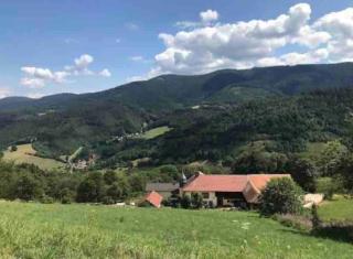 La Fromagerie de La Tourelle - Sainte-Marie-aux-Mines - 4
