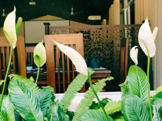 Lake Reach Hotel - Kandy - 9