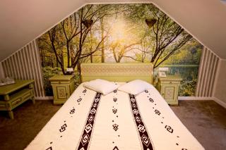 Pensiunea Casa Doamnei Voronet - 5