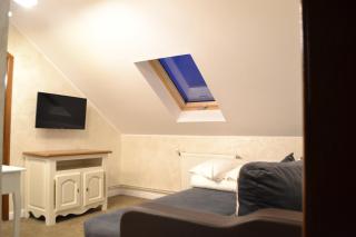 Pensiunea Casa Doamnei Voronet - 1