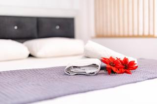 TwinStars Superior Apartment - Gerakini - 3