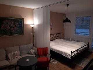 Apartmán Sejkorka Vrchlabí - Vrchlabí - 6