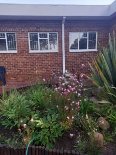 Gastehuis 17 - Bloemfontein - 9
