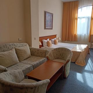Hotel Panorama - Veliko Tŭrnovo - 7