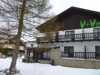 V+V Pension - Harrachov - 7