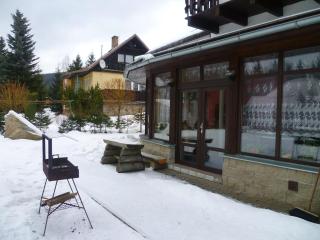 V+V Pension - Harrachov - 4