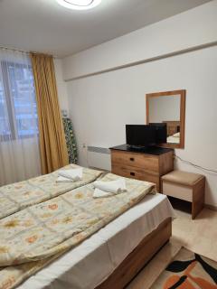 Apartment Biliana - Pamporovo - 7
