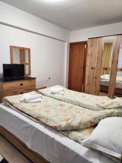 Apartment Biliana - Pamporovo - 9