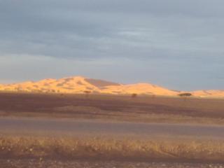 Traveler In Morocco camp - Merzouga - 5